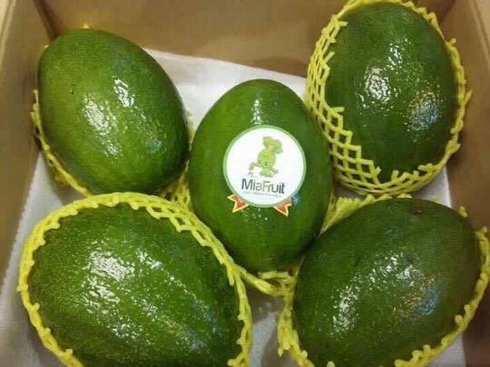 Tương tự, bơ Đài Loan nặng tới 1,2 kg khiến nhiều chị em thích thú. Ảnh: Facebook.