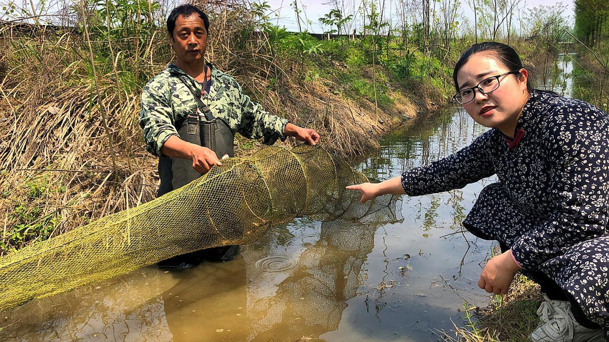 Tháng 5 - 9 hàng năm là mùa cao điểm để thu hoạch tôm hùm đất. 