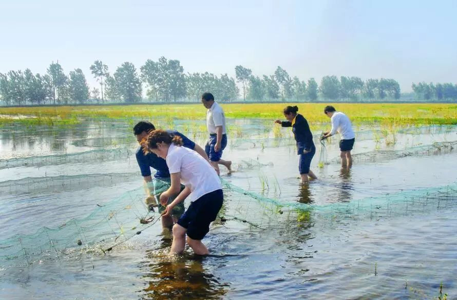 Công việc thu hoạch tôm diễn ra hàng ngày, khá bận rộn. Tuy nhiên, đó là niềm vui của người dân bởi có thể cho thu nhập hàng nghìn USD/năm.