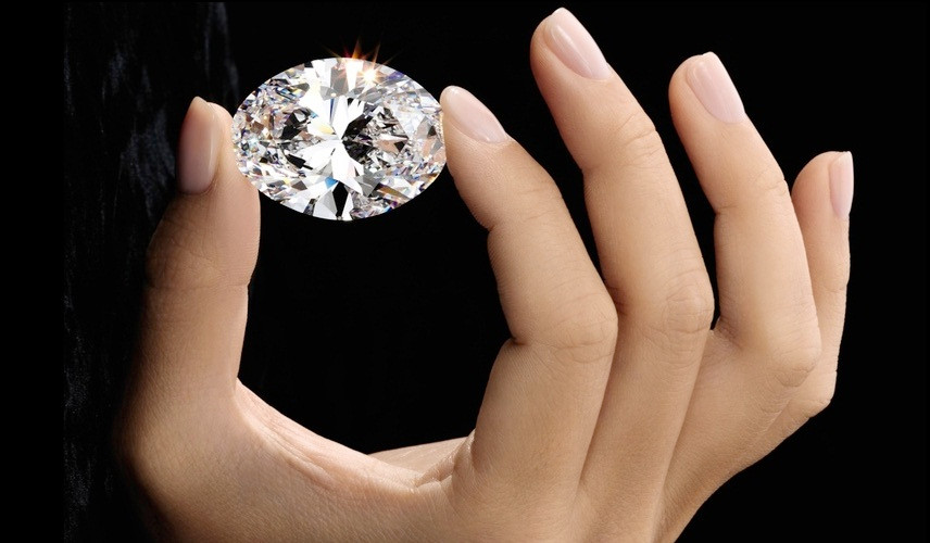 Nó được bán trong thời gian chưa đầy 10 phút. Ảnh: MID House.