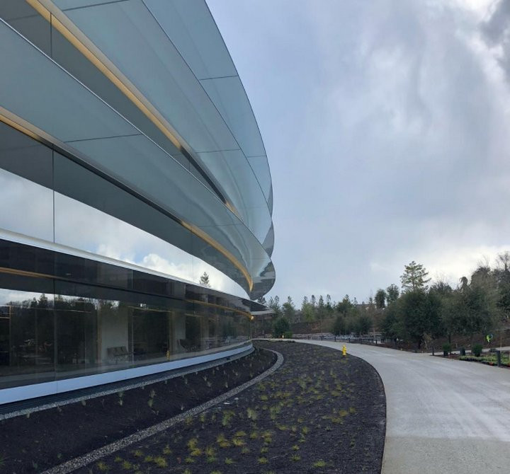 Bên goài trụ sở Apple Park đang ươm rất nhiều cây xanh.