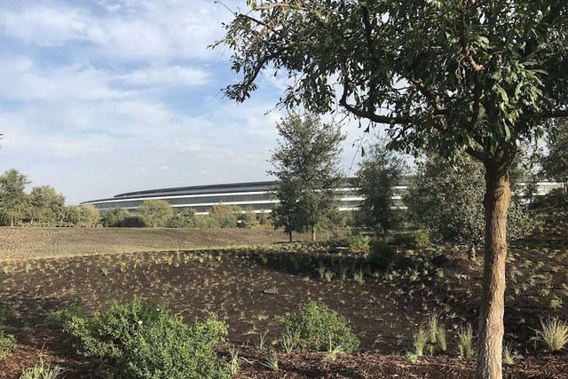 Apple Park bao gồm nhiều tòa nhà, nổi bật nhất là vòng tròn 2,8 triệu feet vuông, được xây dựng từ các tấm kính cong với bốn tầng.