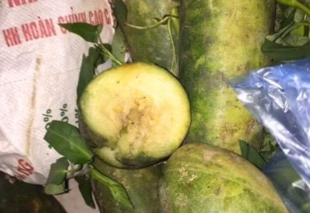 Thuc pham ban cua Halo Foods vao truong hoc: Nhung DN nao tung dinh phot?-Hinh-3