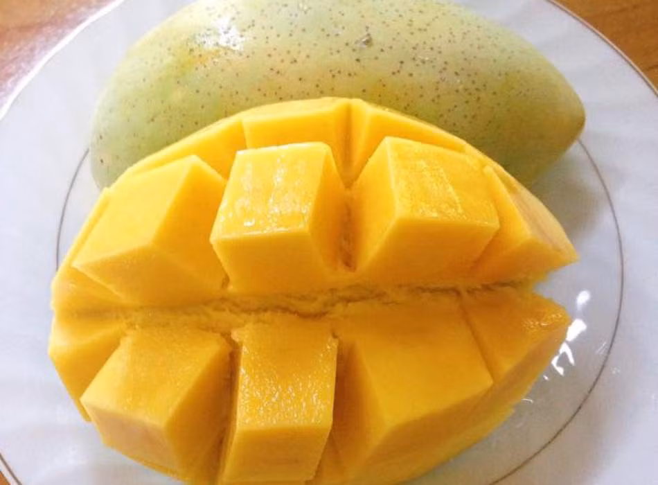 Khi chín vỏ xoài màu vàng tươi, phủ lớp phấn trắng mịn, có đốm nhỏ, màu nâu đen, đốm dạng tròn; thịt quả màu vàng tươi, dày, độ chắc thịt cao, mịn, dẻo, ít xơ. Ảnh: Vuitour.