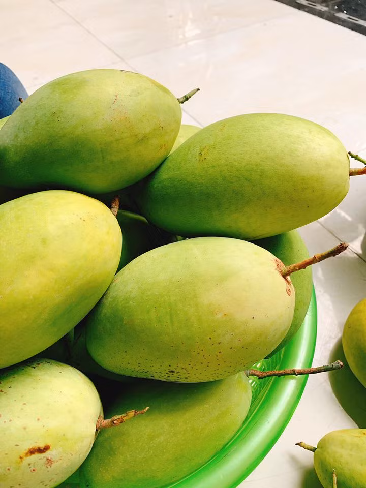 Từng quả có dáng thuôn dài, tròn mình, đỉnh nhọn, gần cuống có bầu tròn đặc trưng. Ảnh: FB Thuy Uyen.