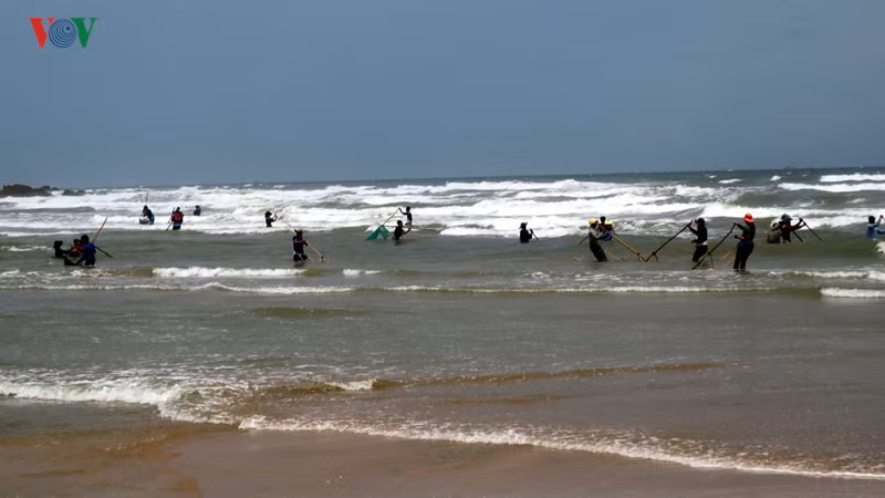 Khi thấy con chằng chằng xuất hiện nhiều, người "trinh sát" sẽ gọi điện cho mọi người khác tập trung đến cào.