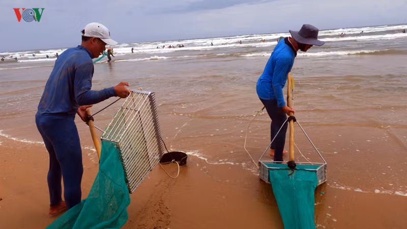 Mỗi bộ cào đều có gắn dây đai. Sau khi đeo đai vào hông, người làm nghề vừa cào vừa đi thụt lùi.