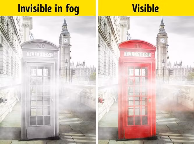 Bi an nguon goc sau nhung su vat quen thuoc-Hinh-2