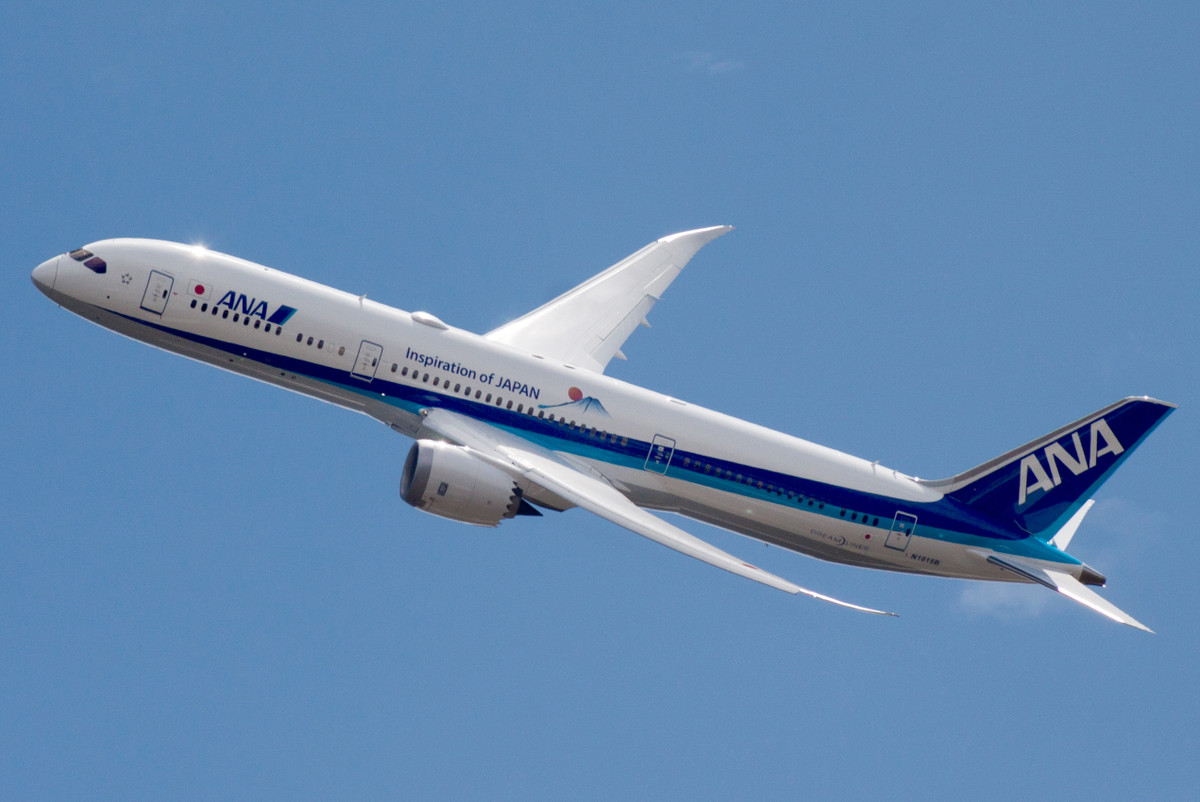 Sau loạt sự cố này, ngày 16/1/2013 Cục Quản lý Hàng không Liên bang Mỹ ra lệnh ngừng bay Boeing 787 Dreamliner. Ba tháng sau, 787 Dreamliner được phép hoạt động sau khi Boeing thiết kế lại các bộ phận pin. Ảnh: Wiki.