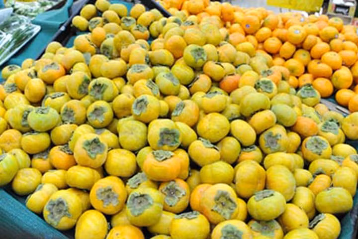 Trong khi đó, hồng giòn Trung Quốc có 2 loại. Một loại hồng giòn quả to, hình vuông hơi dẹt chứ không tròn quả, trọng lượng từ 2-3 lạng/quả. Ảnh: Internet.