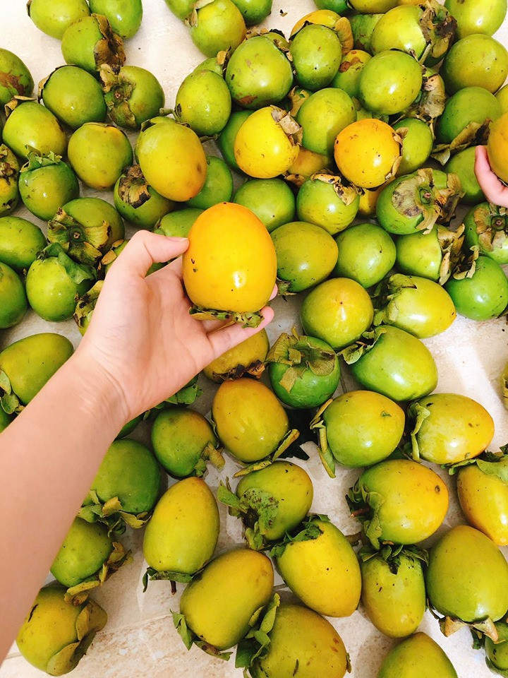 Hồng giòn Đà Lạt có quả tròn, hơi ngắn, đầu hơi nhọn, màu xanh hơi ngả vàng. Ảnh: Facebook.