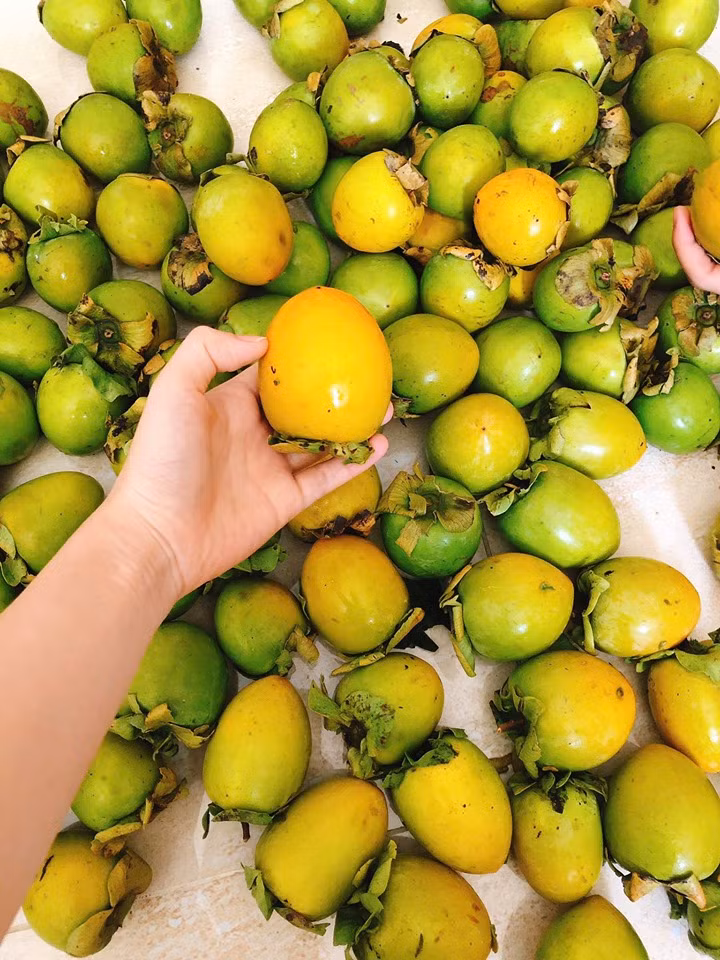 Hồng giòn Đà Lạt có quả tròn, hơi ngắn, đầu hơi nhọn, màu xanh hơi ngả vàng. Ảnh: Facebook.