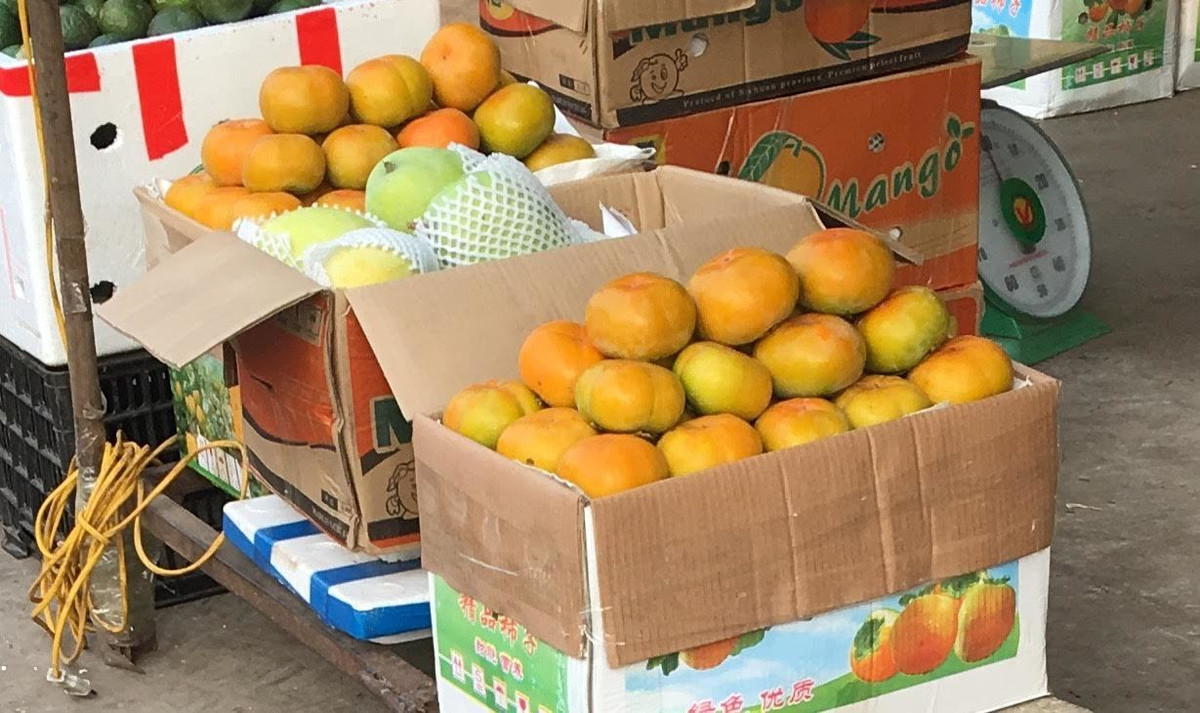 Tuy nhiên, đây cũng chính là lúc hồng giòn Trung Quốc vào vụ. Do đó, số lượng hồng giòn từ Trung Quốc chiếm khá nhiều trên thị trường. Ảnh: Vietnamnet.