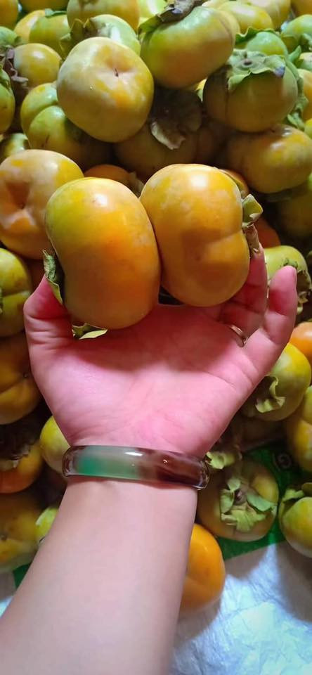 Kích thước quả không đều nhau, khi xanh ăn rất chát còn khi chín ăn giòn và ngọt. Ảnh: Facebook.