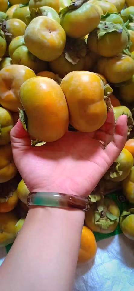 Kích thước quả không đều nhau, khi xanh ăn rất chát còn khi chín ăn giòn và ngọt. Ảnh: Facebook.