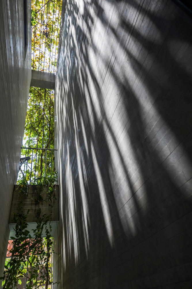 Ánh nắng xuyên qua cây xanh tạo hiệu ứng đẹp mắt.