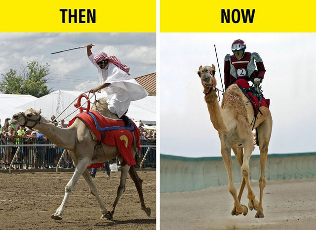 Ở Dubai, đua lạc đà là một ngành công nghiệp trị giá hàng triệu USD. Nguồn ảnh: Brightside, BP.