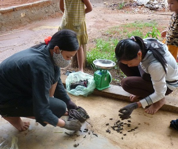 Bên cạnh đó, từng có nhiều người dân bỏ công việc đồng áng để đi thu mua đỉa, bán cho thương lái Trung Quốc kiếm lời. Ảnh: Dân Việt.