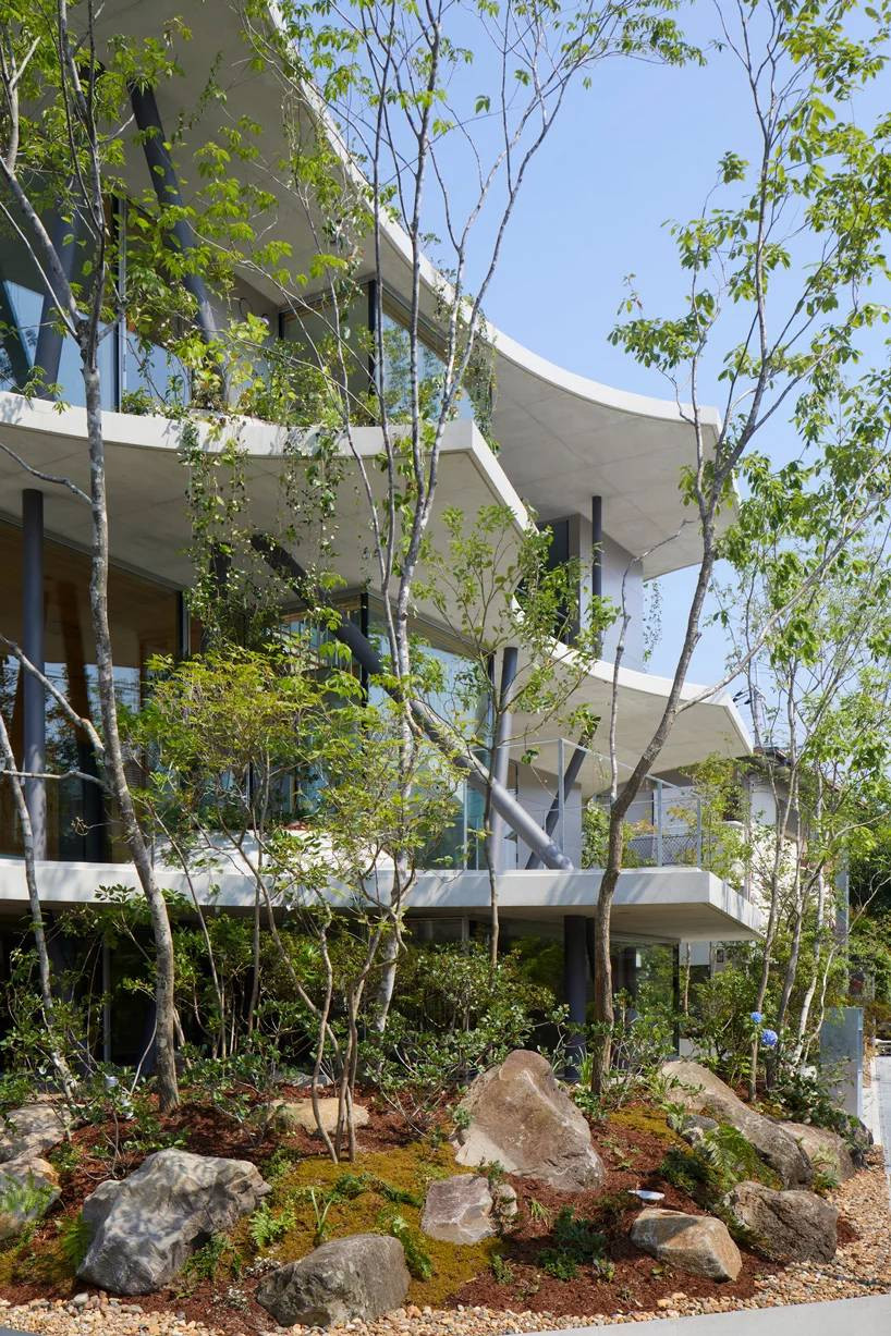 Xung quanh nhà là một rừng cây xanh.