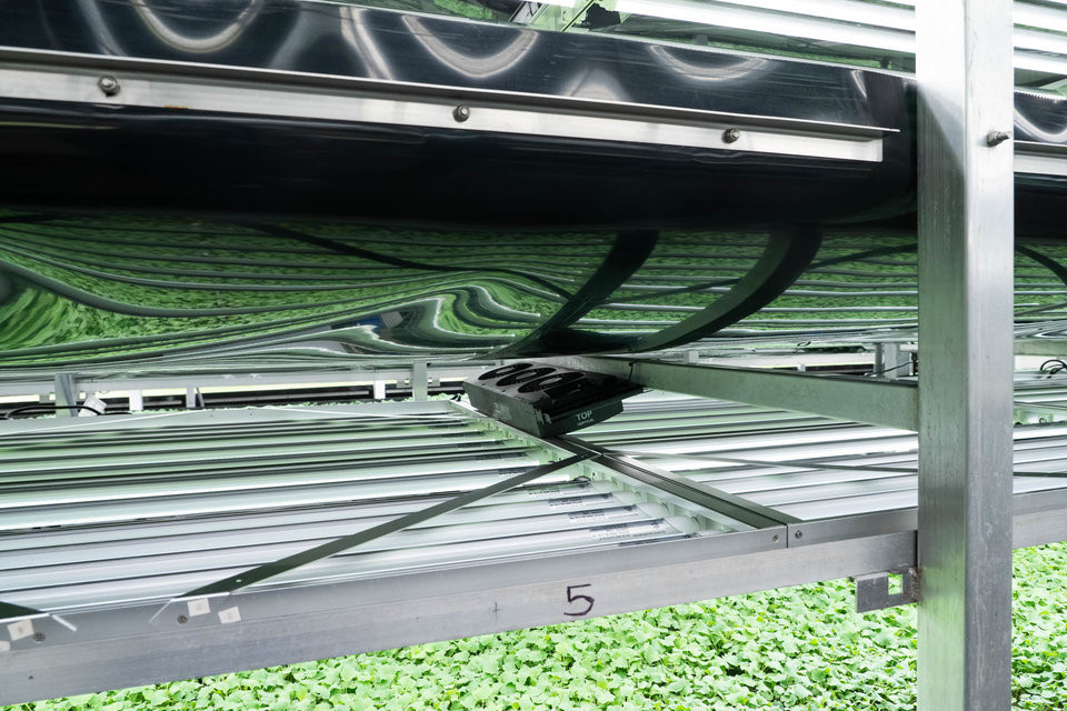 Hệ thống điều chỉnh nhiệt độ.