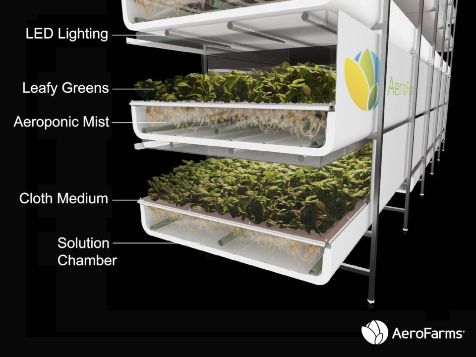 Aeroponics là công nghệ trồng rau xanh có vẻ đơn giảnn ưng tiên tiến.