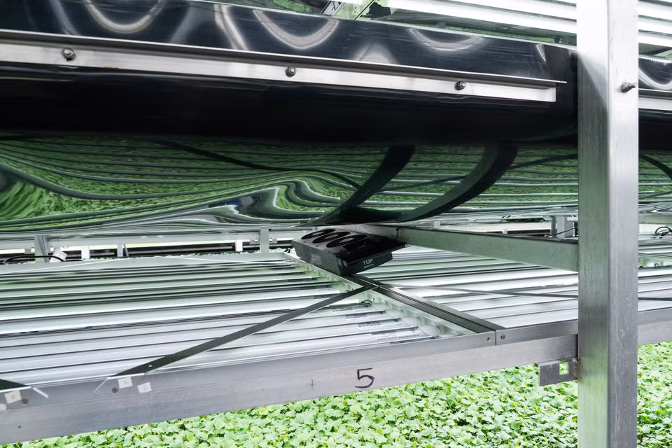 Hệ thống điều chỉnh nhiệt độ.