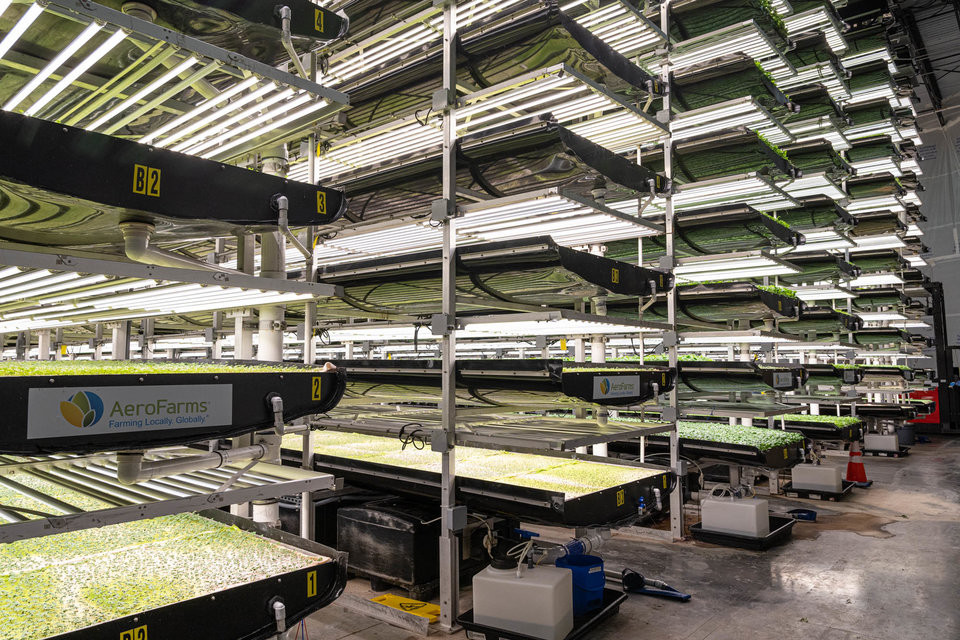 Thay vì nằm ngoài trời có nguy cơ dính bụi bẩn, những luống rau xanh ở AeroFarms nằm hoàn toàn ở trong nhà, với hình thức "nông trại thẳng đứng".