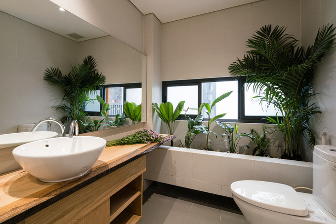 Từng góc nhỏ trong ngôi nhà 7 tầng đều được tận dụng để trồng cây xanh khiến ngôi nhà có vẻ đẹp mướt mắt.