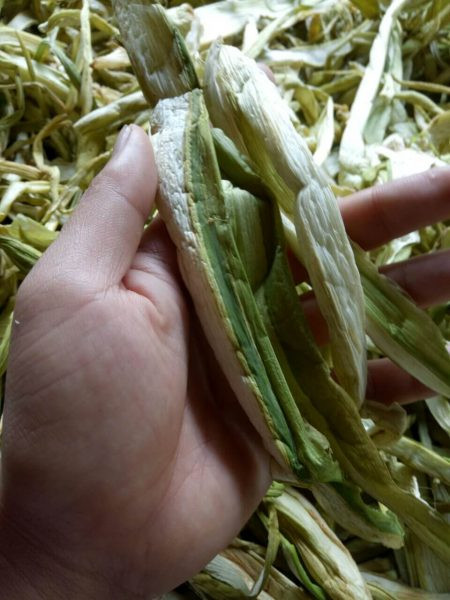 Chia sẻ trên Vnexpress, chị Hoa một cơ sở chuyên bán dọc mùng sấy khô ở Hà Nội cho biết, nhà chị bán được cả nửa tạ mỗi tháng. Ảnh: Rauantoandongcao.