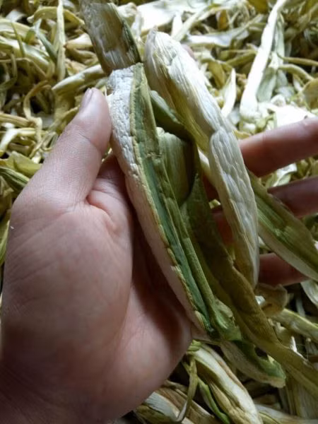 Chia sẻ trên Vnexpress, chị Hoa một cơ sở chuyên bán dọc mùng sấy khô ở Hà Nội cho biết, nhà chị bán được cả nửa tạ mỗi tháng. Ảnh: Rauantoandongcao.