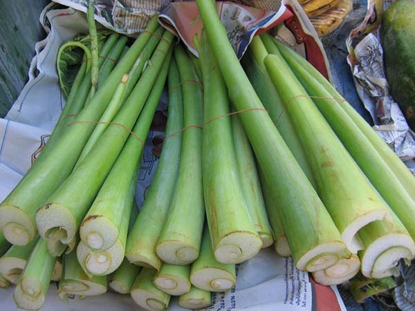 Là loại rau gia vị thường được dùng nấu canh chua, dọc mùng (bạc hà) tươi có giá từ 20.000 - 30.000 đồng/kg tại các chợ dân sinh ở Việt Nam. Ảnh: Amthuc365.