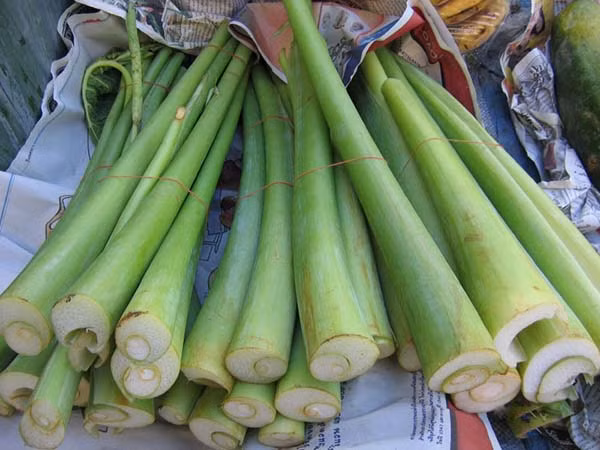 Là loại rau gia vị thường được dùng nấu canh chua, dọc mùng (bạc hà) tươi có giá từ 20.000 - 30.000 đồng/kg tại các chợ dân sinh ở Việt Nam. Ảnh: Amthuc365.