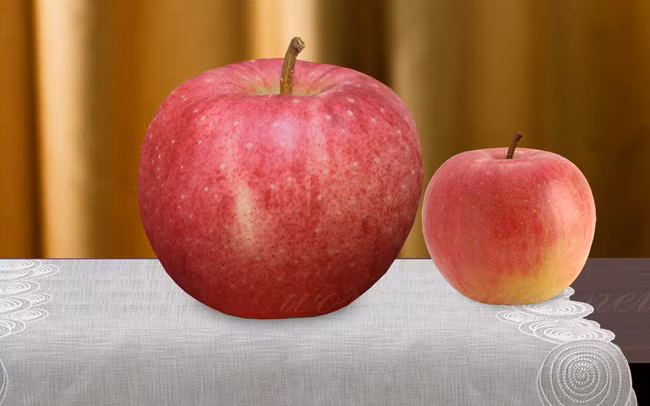 Táo Sekai Ichi – 21 USD (500.000 đồng)/quả. Sekai Ichi có nghĩa là “Số 1 thế giới”, những quả táo này có kích thước lên tới 38cm và nặng tới 1kg. Đây chính là loại táo đắt nhất và to nhất thế giới.