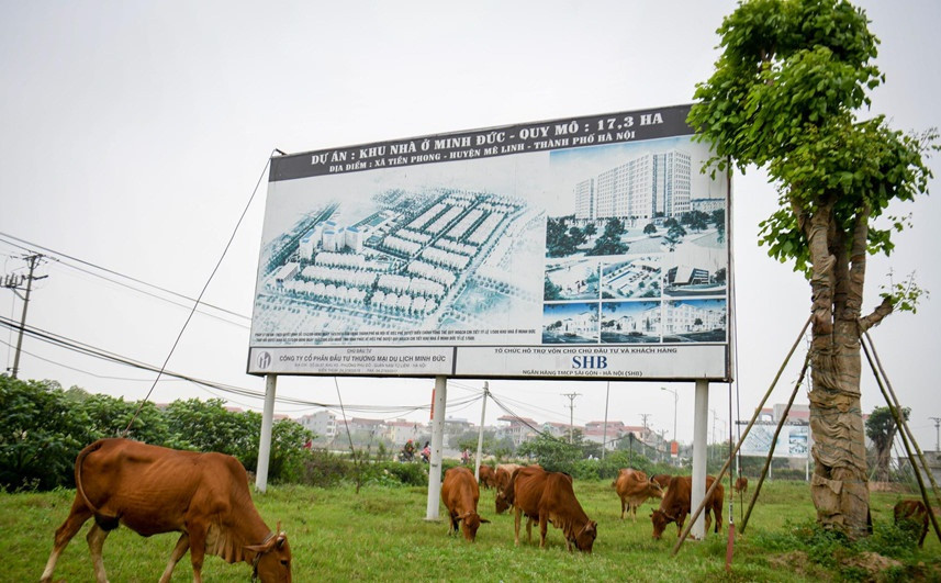 Riêng tại xã Tiền Phong có tới gần 20 dự án nhà ở, khu đô thị ven theo đường quy hoạch nối Bắc Thăng Long với Vĩnh Yên. Điển hình là các khu đô thị Nam Sơn (60 ha); Phúc Việt (24,3 ha); Minh Giang - Đầm Và (22 ha); Làng hoa Tiền Phong (40 ha); Làng quốc tế Tiền Phong (30 ha)…