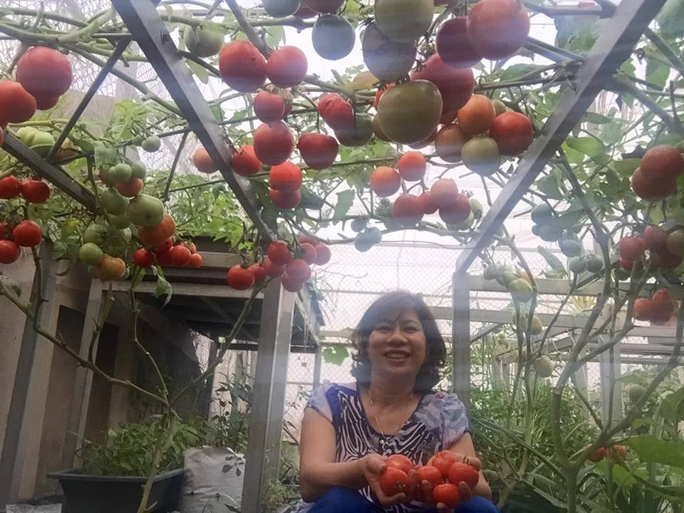 Để giữ cho cây không bị gãy, chị Nhịp còn kỳ công thiết kế khung chắc chắn. Ảnh: FB Quách Nhịp.