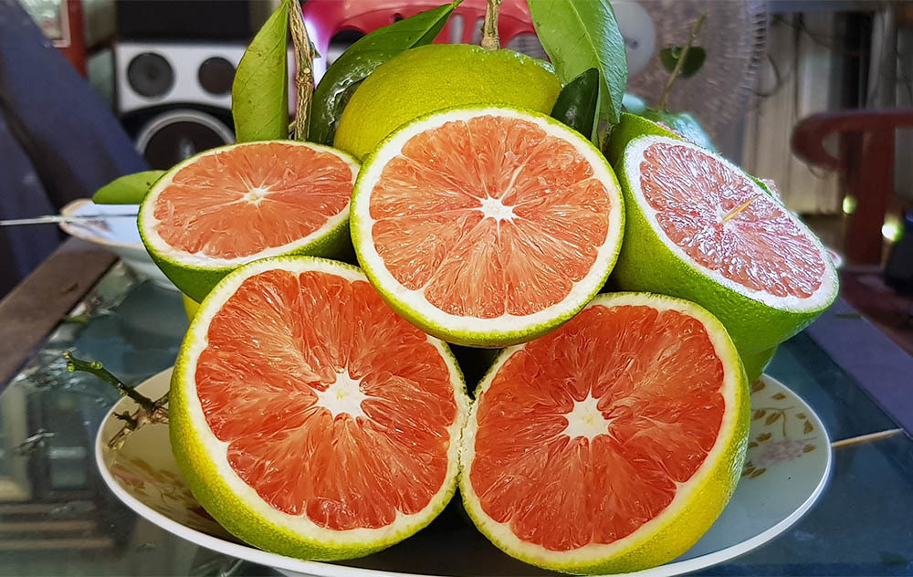 Cam doc: Ruot do au, hat chang thay dau, duy nhat co o mien Tay-Hinh-3