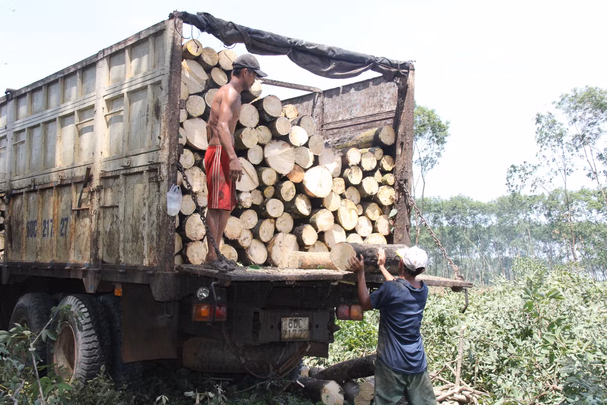 Dong Nai gap rut tao mat bang xay khu tai dinh cu phuc vu san bay Long Thanh-Hinh-2
