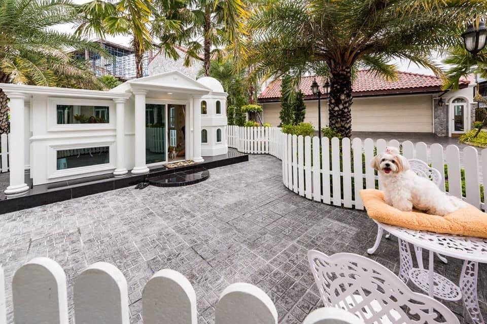 Giữa sân là một bộ bàn ghế sang chảnh cho cún thư giãn.