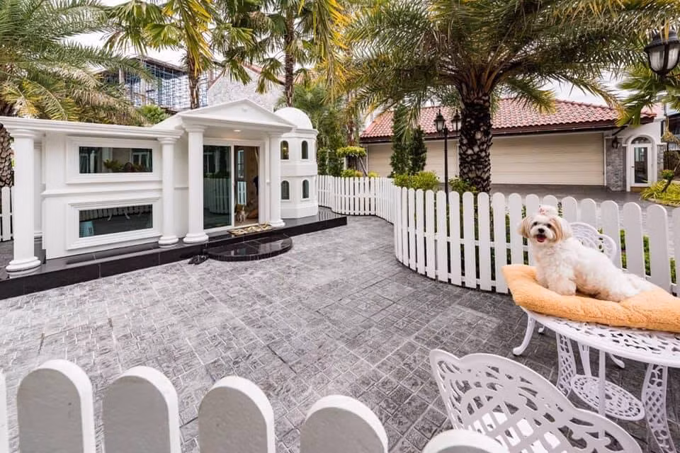 Giữa sân là một bộ bàn ghế sang chảnh cho cún thư giãn.