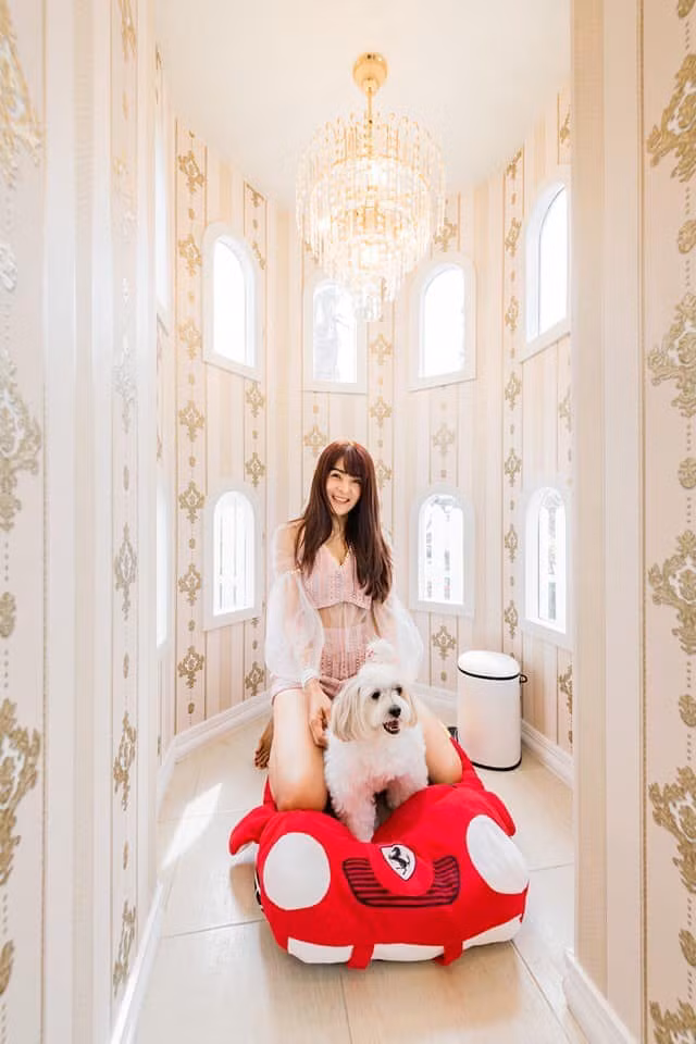 Trong nhà không thiếu những chiếc sofa êm ái cho cún ngả lưng.