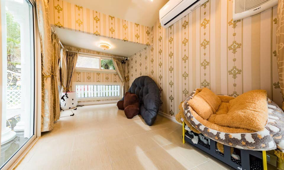Phòng ngủ của cún cưng thậm chí còn được mắc điều hòa.