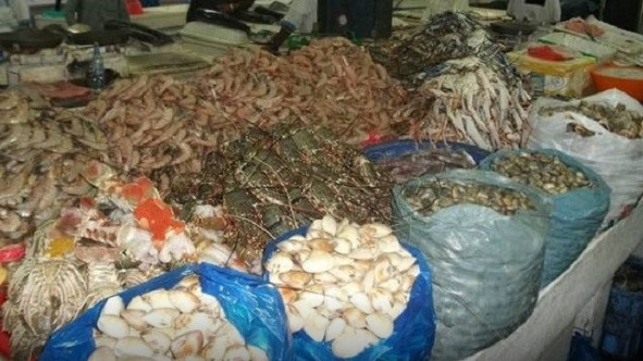 Các loại ngao sò được nhập từng bao lớn và bán đi cũng theo từng bao.