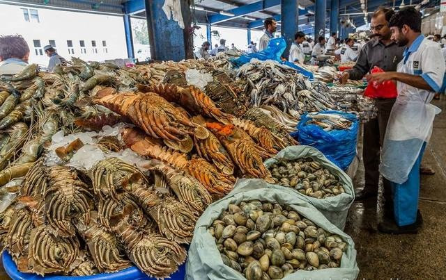 Tôm biển, tôm sú, tôm hùm, tôm tích...đều tươi ngon.