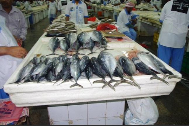 Chợ Deira là khu chợ sầm uất cũng là chợ cá chính ở Dubai.