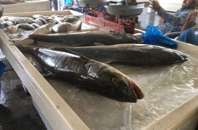 Tiểu thương bắt đầu đóng quầy vào khoảng 1-2 giờ chiều. Nhiều khách hàng có thể mua được hải sản với giá "hời" vào lúc này.