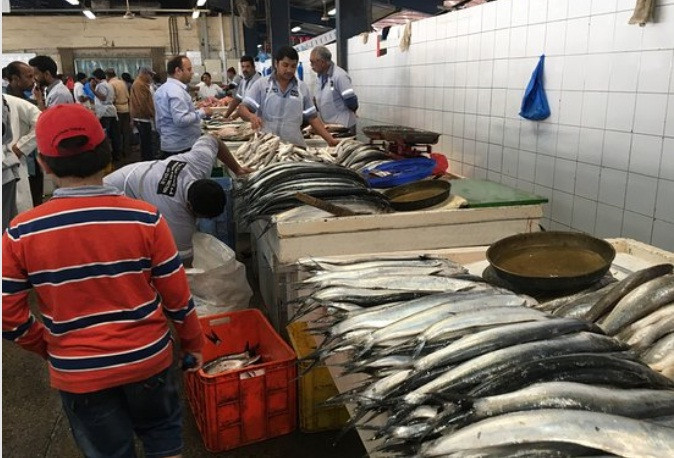 Tại chợ, khách hàng có thể tìm thấy đủ mọi loại cá ở địa phương cho tới cá hồi, cá ngừ, thậm chí là cá mập con.