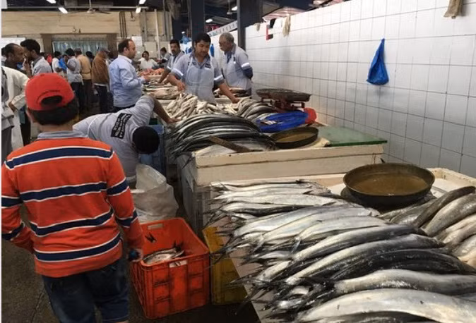 Tại chợ, khách hàng có thể tìm thấy đủ mọi loại cá ở địa phương cho tới cá hồi, cá ngừ, thậm chí là cá mập con.