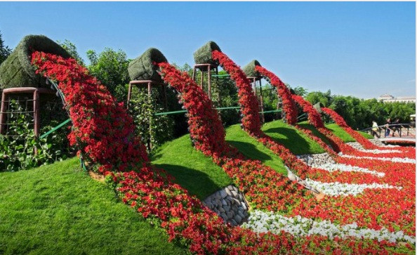 Không chỉ nở rộ trên vùng đất sa mạc, vườn hoa còn có thể thay đổi màu sắc theo từng mùa.