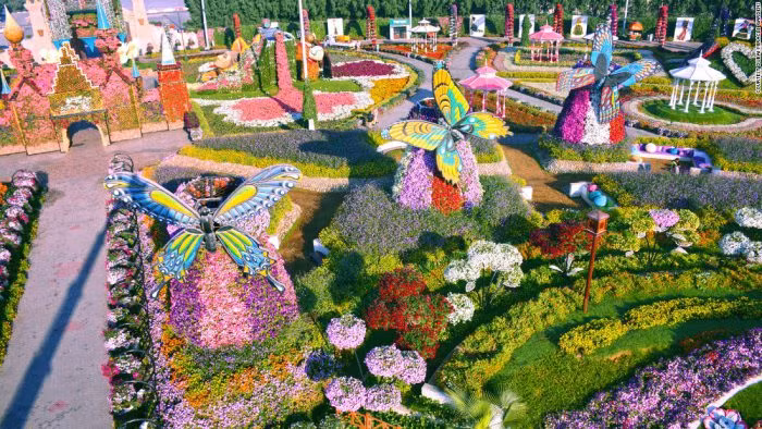 Các lối trong vườn hoa Dubai đều là khung sắt hình trái tim phía trên có đầy đủ các loại hoa dây.