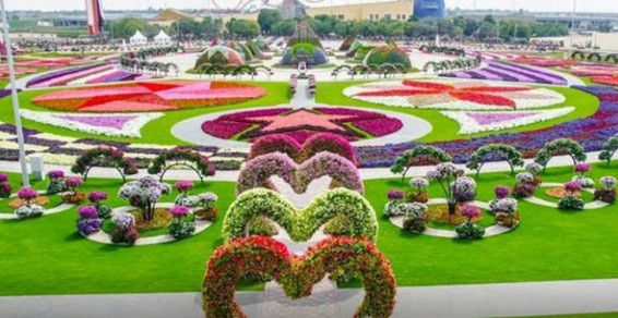 Những khung hình khổng lồ mang đến cảm giác như khu triển lãm nghệ thuật.